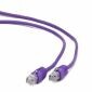 Cableexpert UTP CAT5e Patch Cable, purple, 1m