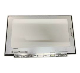 17.3" FHD IPS LED Matte 60HZ EDP 30 Pin Panel