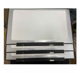 17.3" HD+ LED Matte EDP 30 Pin Panel No Brackets