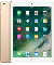 iPad 5